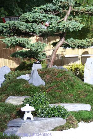 Japan_Garten_9_