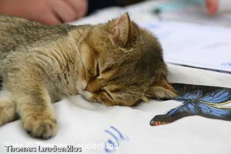 NEOCAT_Utrecht_Thomas_L_24_