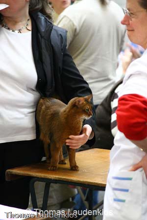 NEOCAT_Utrecht_Thomas_L_25_