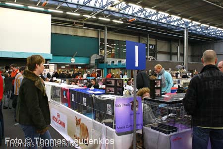 NEOCAT_Utrecht_Thomas_L_32_