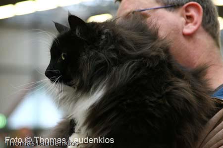 NEOCAT_Utrecht_Thomas_L_7_